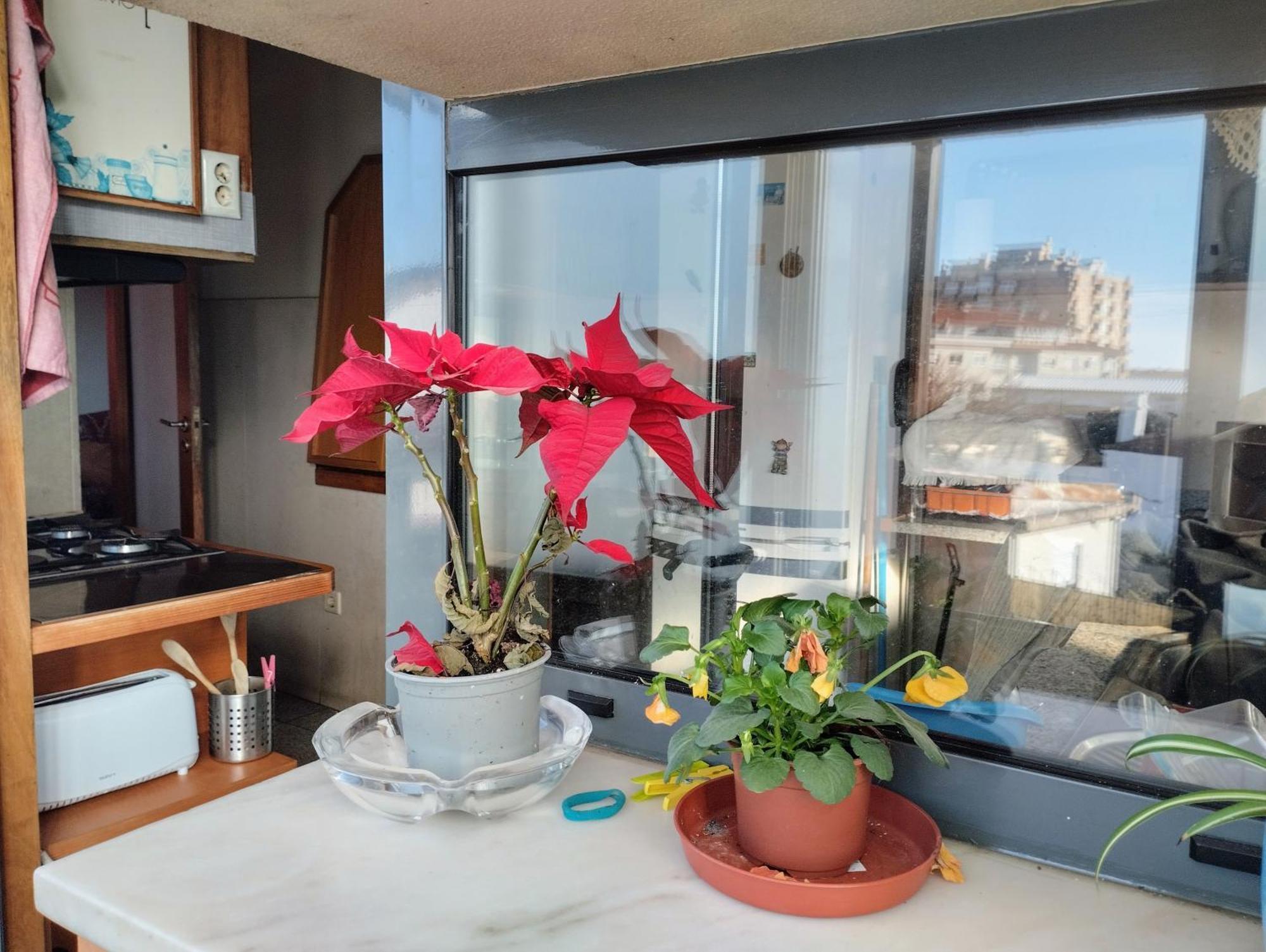 Sweets Suites Espinho المظهر الخارجي الصورة